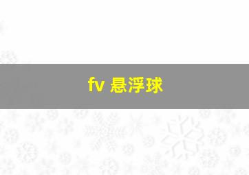 fv 悬浮球